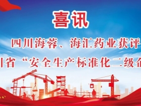 海蓉、海匯藥業(yè)獲評“安全生產(chǎn)標(biāo)準(zhǔn)化二級企業(yè)”